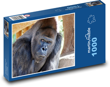 Gorila. Puzzle 1000 dielikov - 60 x 46 cm