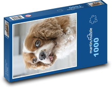 King Charles Spaniel - Dog Puzzle 1000 pieces - 60 x 46 cm 