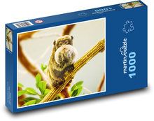 Kaiserlicher Tamarin - Langer Bart Puzzle 1000 Teile - 60 x 46 cm