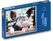 Prase Puzzle 1000 dílků - 60 x 46 cm