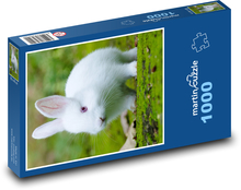 Królik domowy Puzzle 1000 elementów - 60x46 cm