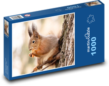 Veverica. Puzzle 1000 dielikov - 60 x 46 cm 