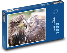 Głowa orła Puzzle 1000 elementów - 60x46 cm