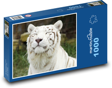 White Tiger Puzzle 1000 pieces - 60 x 46 cm 