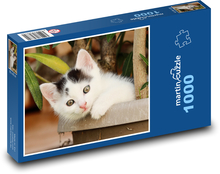Kot - kotek Puzzle 1000 elementów - 60x46 cm
