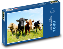 Kühe auf dem Feld Puzzle 1000 Teile - 60 x 46 cm