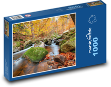 The Ilz River - Autumn Landscape Puzzle 1000 pieces - 60 x 46 cm 