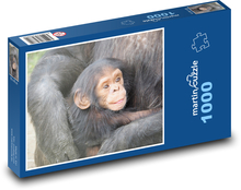 Šimpanz - mláďa Puzzle 1000 dielikov - 60 x 46 cm 