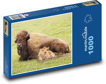 Buvol Puzzle 1000 dílků - 60 x 46 cm