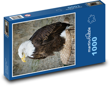 Vták - orol Puzzle 1000 dielikov - 60 x 46 cm 