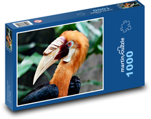 Zoborožec - pták Puzzle 1000 dílků - 60 x 46 cm