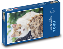 Rezavá kočka Puzzle 1000 dílků - 60 x 46 cm