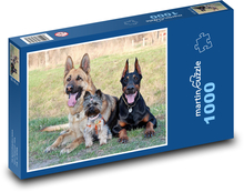 Doberman, Yorkshirský teriér, Nemecký ovčiak Puzzle 1000 dielikov - 60 x 46 cm