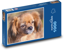 Dog Puzzle 1000 pieces - 60 x 46 cm 