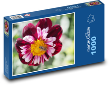 Včela na kvete - georgíny Puzzle 1000 dielikov - 60 x 46 cm 