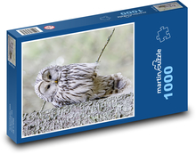 Vták - sova Puzzle 1000 dielikov - 60 x 46 cm 