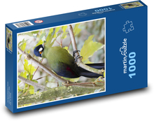 Bird - Feather Puzzle 1000 pieces - 60 x 46 cm 