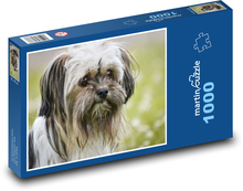 Čivava zmiešaného plemena - pes Puzzle 1000 dielikov - 60 x 46 cm 