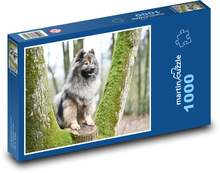 Eurasier - pes Puzzle 1000 - 60x46 cm