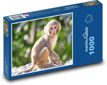 Małpa - szympans Puzzle 1000 elementów - 60x46 cm