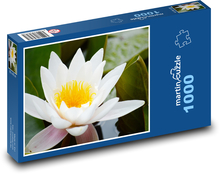 Biela vodná ľalia - kvet Puzzle 1000 dielikov - 60 x 46 cm 