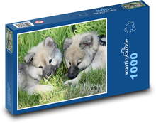 Eurázijskejšie šteniatka - psy Puzzle 1000 dielikov - 60 x 46 cm 
