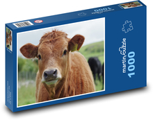 Brązowa krowa Puzzle 1000 elementów - 60x46 cm