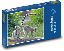 Kata Lemur Puzzle 1000 elementów - 60x46 cm
