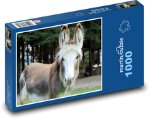 Osol domáci Puzzle 1000 dielikov - 60 x 46 cm 