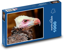 Sęp - ptak Puzzle 1000 elementów - 60x46 cm