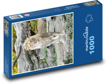 Löwe im Zoo Puzzle 1000 Teile - 60 x 46 cm
