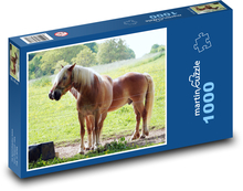 Zvířata - koně Puzzle 1000 - 60x46 cm