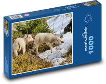 Ovce - jahňacie Puzzle 1000 dielikov - 60 x 46 cm 