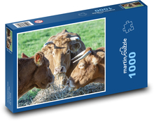 Cows Puzzle 1000 pieces - 60 x 46 cm 