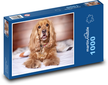 Angielski Cocker Spaniel Puzzle 1000 elementów - 60x46 cm