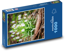 Przebiśniegi - kwiaty wiosenne Puzzle 1000 elementów - 60x46 cm