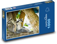 Lemur - zvíře Puzzle 1000 dílků - 60 x 46 cm