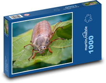 Beetle - insect Puzzle 1000 pieces - 60 x 46 cm 