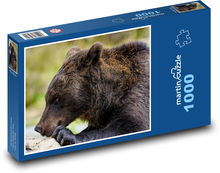 Braunbär Puzzle 1000 Teile - 60 x 46 cm