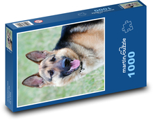 Nemecký ovčiak - pes Puzzle 1000 dielikov - 60 x 46 cm 