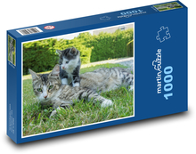 Mladá mačka s mamou Puzzle 1000 dielikov - 60 x 46 cm