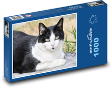 Čierno-biela mačka Puzzle 1000 dielikov - 60 x 46 cm