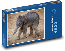 Słoń - pisklę Puzzle 1000 elementów - 60x46 cm