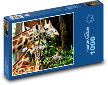 Žirafy - krmení Puzzle 1000 dílků - 60 x 46 cm