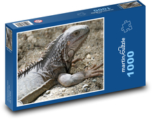 Leguán - ještěrka Puzzle 1000 - 60x46 cm