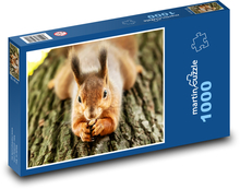 Veverička na strome Puzzle 1000 dielikov - 60 x 46 cm 