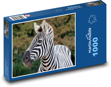 Zebra Puzzle 1000 dielikov - 60 x 46 cm 