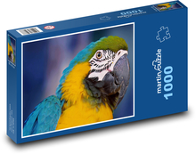 Parrot Puzzle 1000 pieces - 60 x 46 cm 