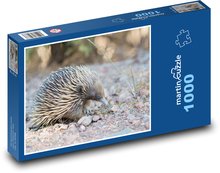 Ostnatý mravčiar Puzzle 1000 dielikov - 60 x 46 cm 