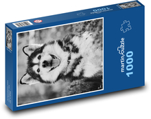Malamute - pies Puzzle 1000 elementów - 60x46 cm